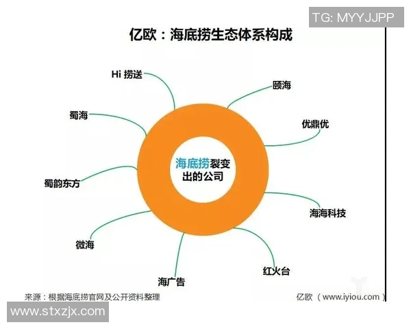 南京极限运动队快攻革新探索与实践的深度剖析与启示