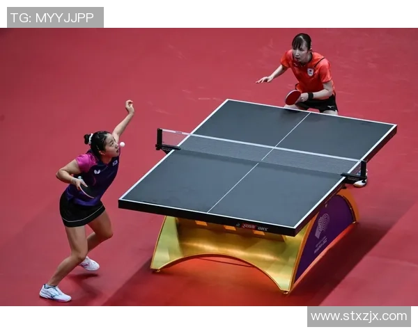 南京乒乓球队团队协作的成功经验与挑战分析