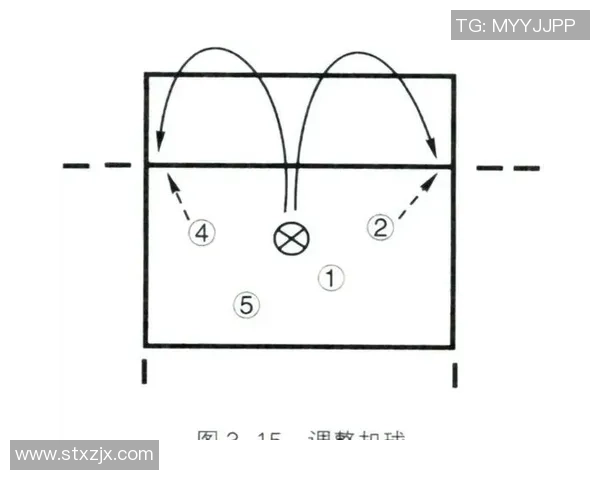 武汉排球队防反战术解析：深度剖析排球比赛中的策略与执行