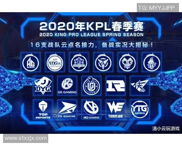 深入分析WE战队区域防守策略及其战术应用效果