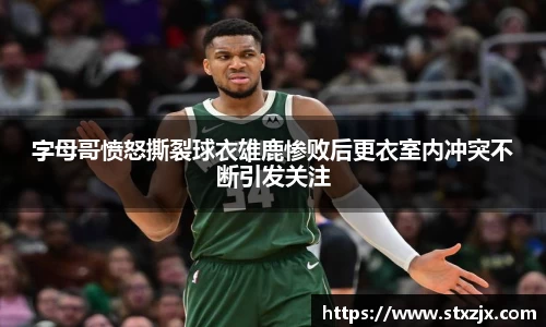 zoty中欧